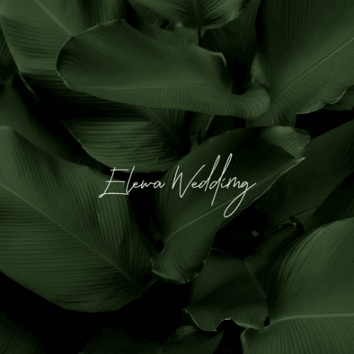 Elewa Wedding